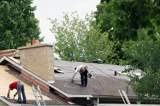 Roof Gutter Cleaning in Maple Glen, PA